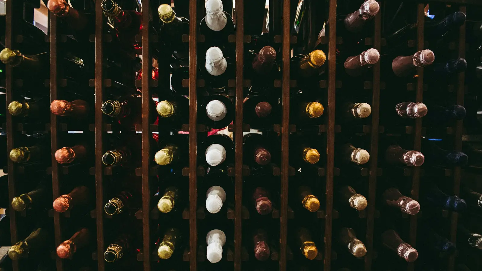 Botellero de pared lleno de botellas de vino