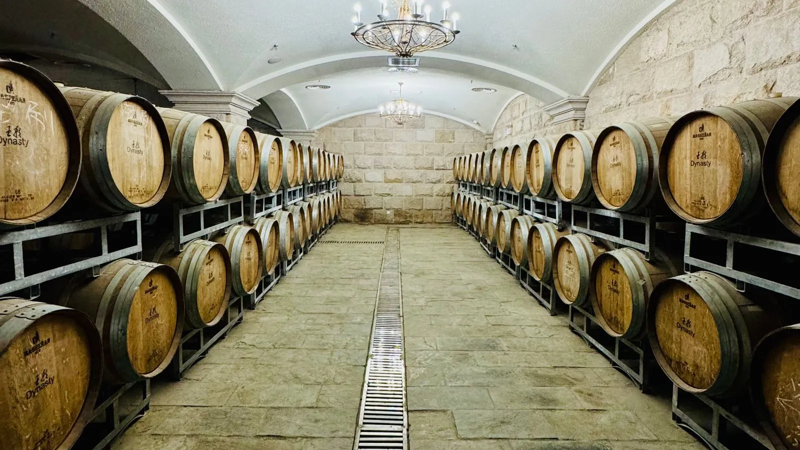 Bodega con barricas